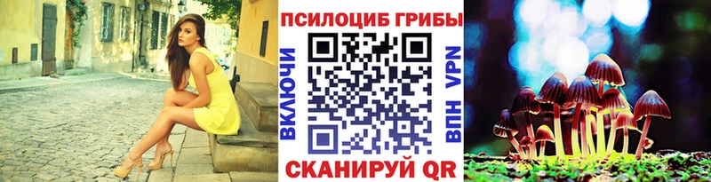 Купить  Салехард  Псилоцибиновые грибы Psilocybe 