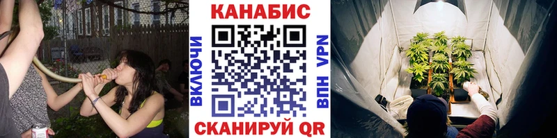 Марихуана планчик Салехард
