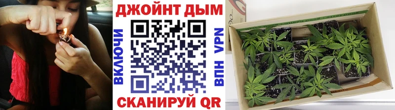 Бошки марихуана LSD WEED  Купить где  Салехард 